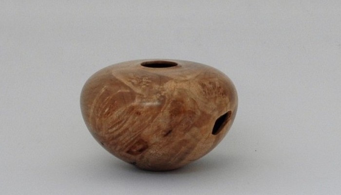 Big Leaf Maple Hollow Form